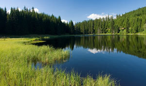 CHKO Šumava - CHKO Šumava